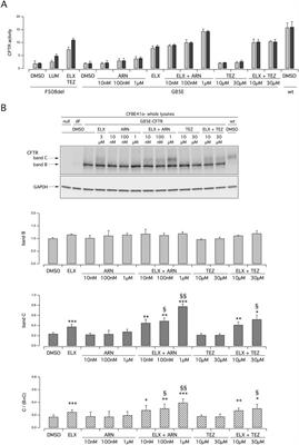 Pharmacological rescue of the G85E CFTR variant by preclinical and approved modulators